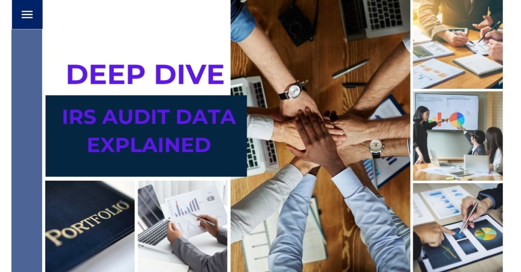 Deep Dive IRS Audit Data Explained