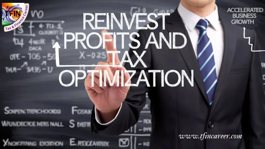 Reinvest Profits and Tax Optimization