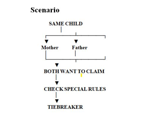 Multiple Taxpayers Claiming the Same Child = Scenario