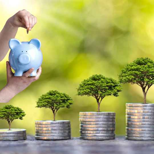 Savings projections
